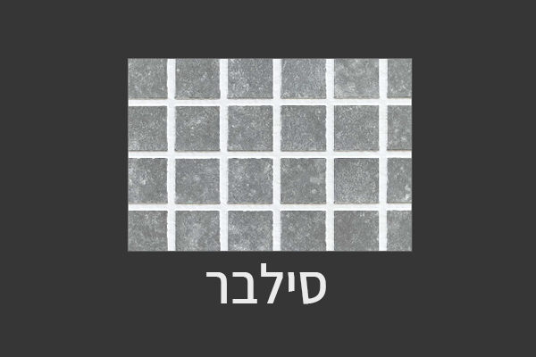 מטריקס-צבע דגם-סילבר